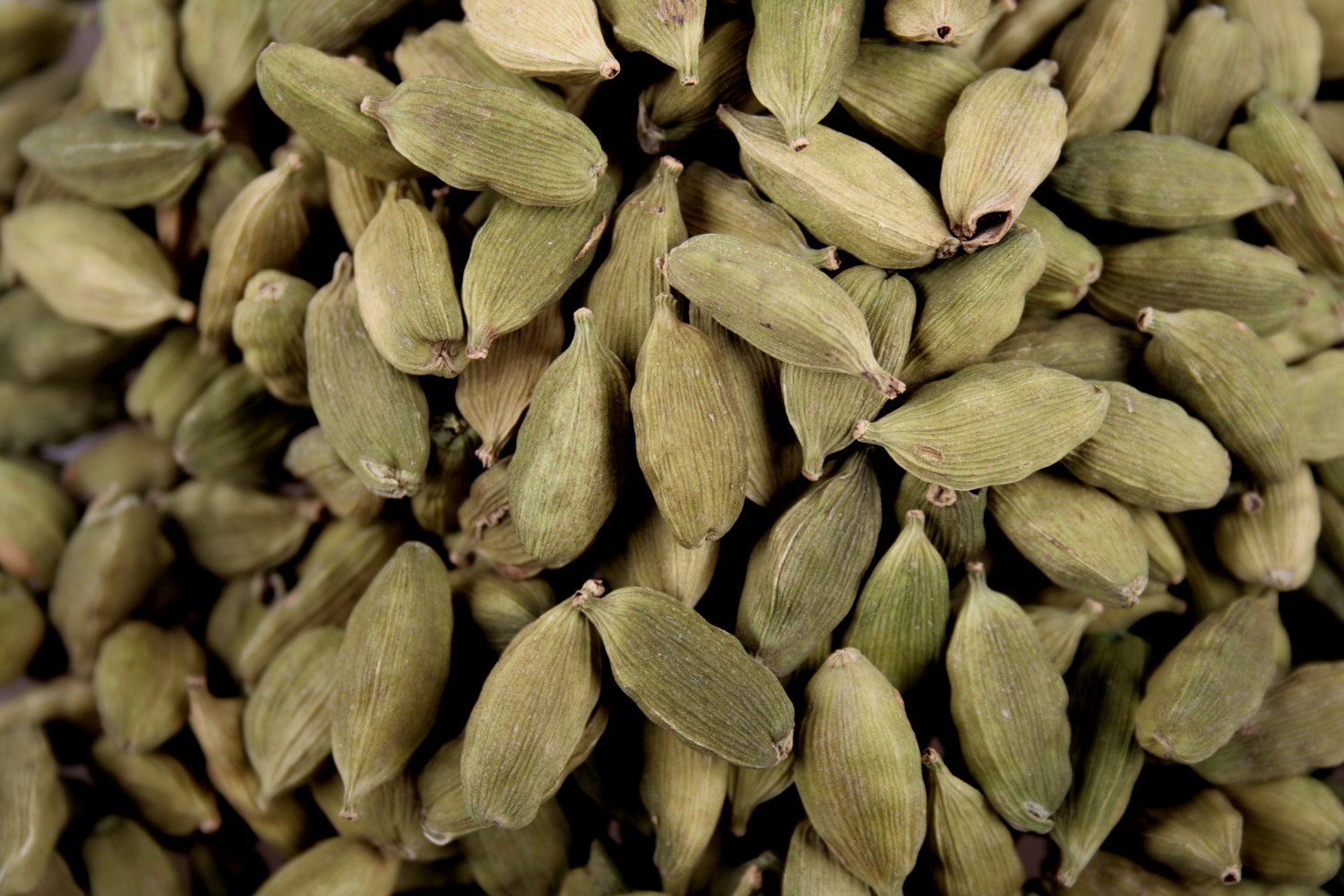 Cardamome graines ou poudre - Achat, usage et vertus - Ile aux épices