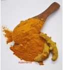 CURCUMA
